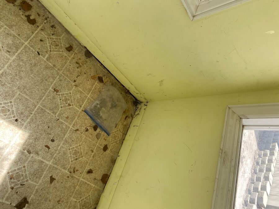 Interior remodel progress